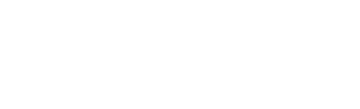 Wellington College International